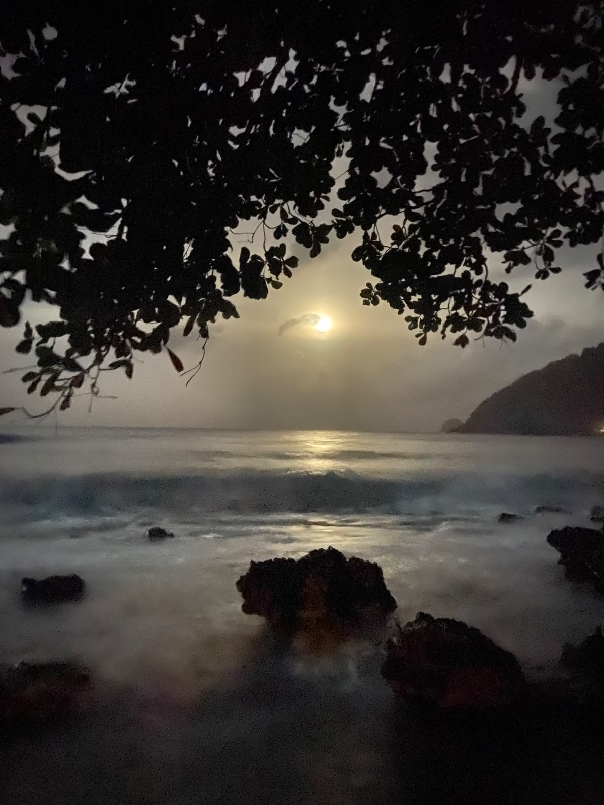 Vista al mar desde la cabaña entre palmeras