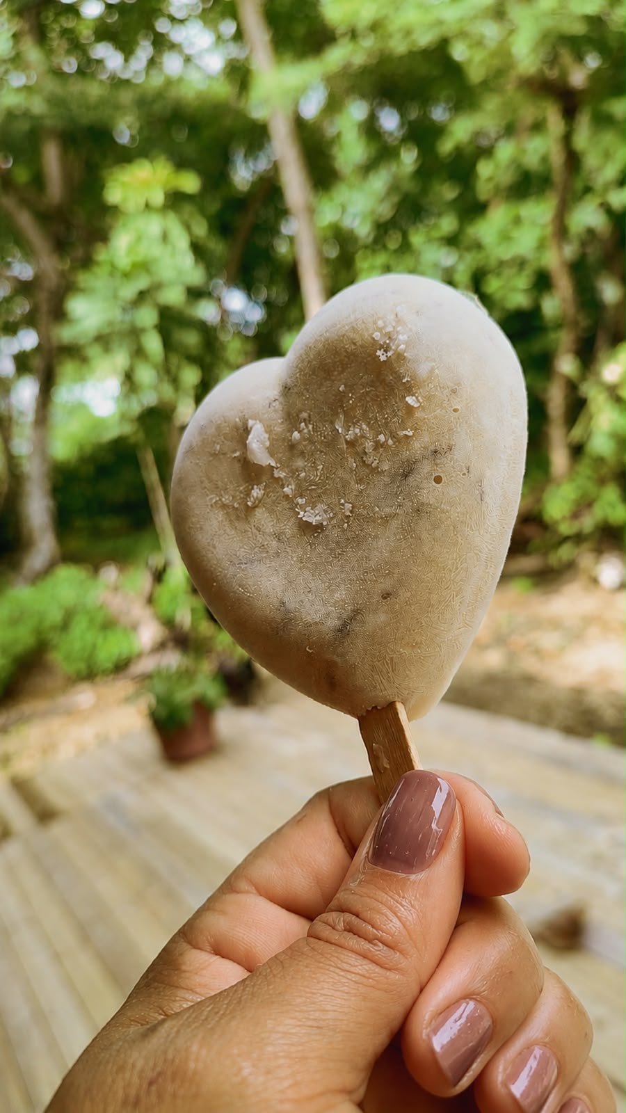 Paleta artesanal en forma de corazón entre la naturaleza